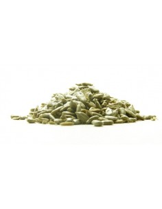 Ηλιόσπορος Σε Ψύχα...