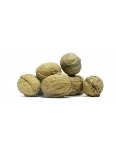 Καρύδια Ολόκληρα