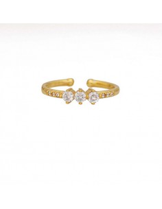 Δαχτυλίδι επιχρυσωμένο...